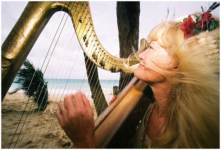 harpist hair blowing in the wind